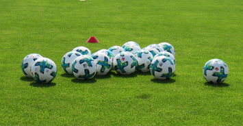 九游下载安装-后疫情足球：运动员健康新管理策略，足球运动员常见疾病